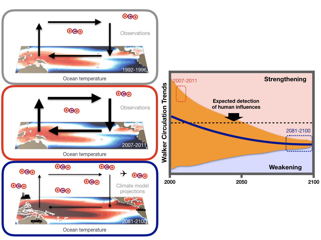 natural-climate-processes-overshadow-recent-human-induced-walker